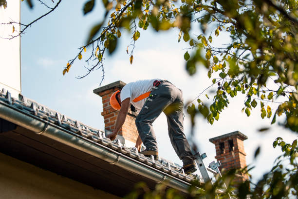 Professional Roofing Contractor in Blackhawk, SD