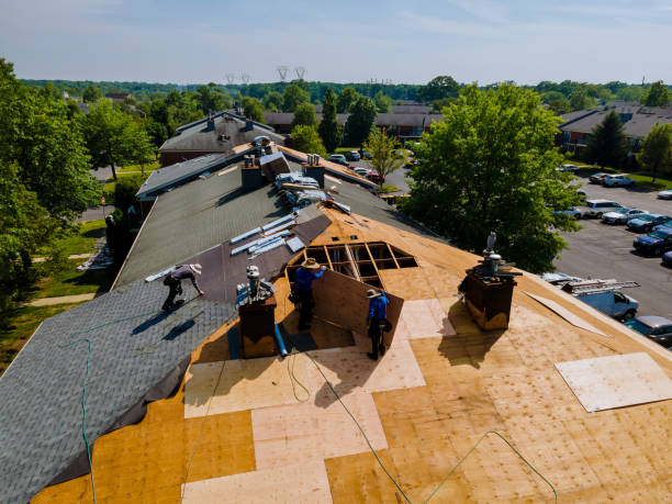 Best Flat Roof Repair Services  in Blackhawk, SD